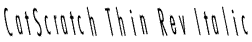 CatScratch Thin Rev Italic