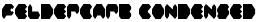 Feldercarb Condensed