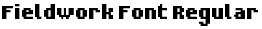 Fieldwork Font Regular