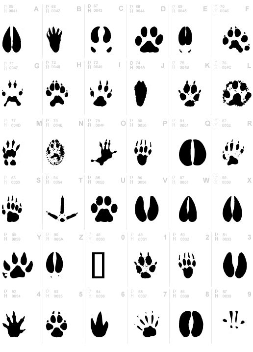 AnimalTracks