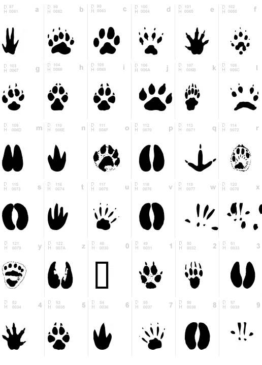 AnimalTracks